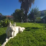 Jardins De São Luís *