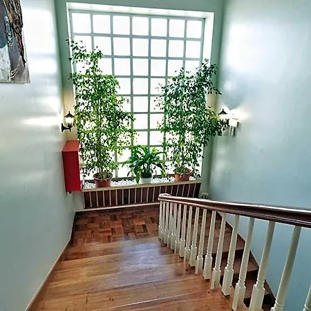 Jardins De Sao Luis *